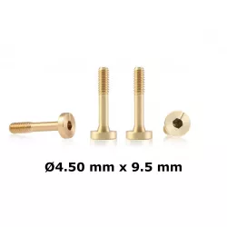 BRM S-135 A1 - Screws for Suspensions Ø 4.5 mm x 9.5 mm Flat Head self centered